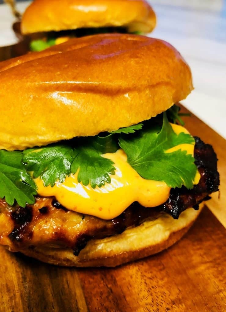 Blackstone Hoisin Chicken Burgers