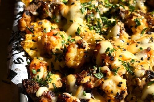 Blackstone Loaded Hibachi Fries