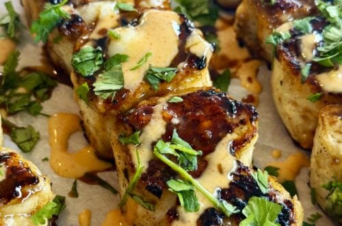 Blackstone Teriyaki Turkey Pinwheel Skewers
